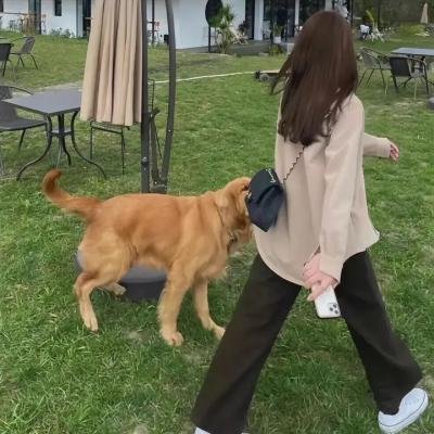 迟来的幸福